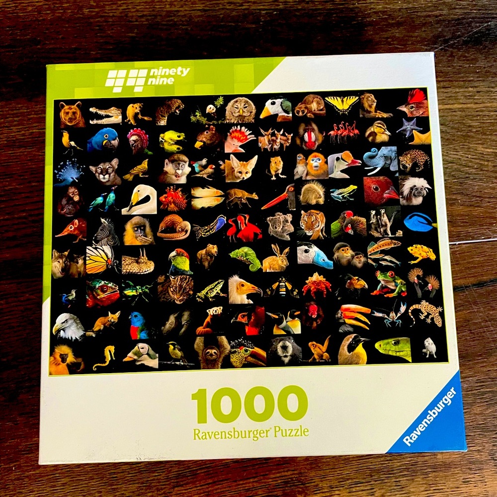 Ravensburger 1000 piece puzzle